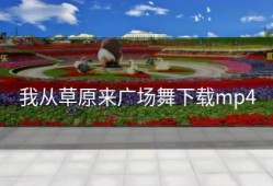 我从草原来广场舞下载mp4