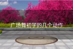 广场舞初学的几个动作