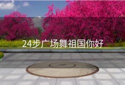 24步广场舞祖国你好