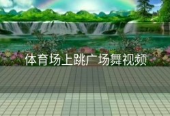 体育场上跳广场舞视频