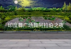印度舞广场舞阿拉伯之夜