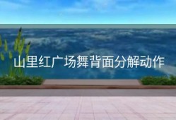 山里红广场舞背面分解动作