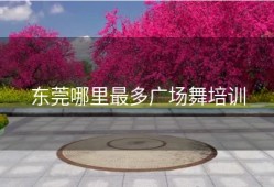 东莞哪里最多广场舞培训