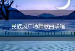 民族风广场舞歌曲联唱
