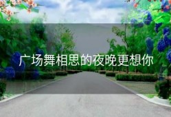 广场舞相思的夜晚更想你