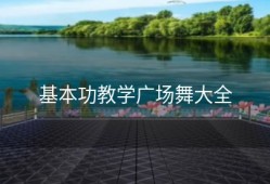 基本功教学广场舞大全