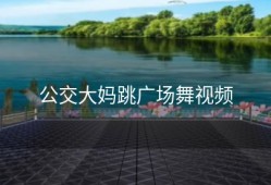 公交大妈跳广场舞视频