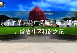 亲亲的茉莉花广场舞：舞动温情，绽放社区和谐之花