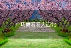 广场舞看看大西北