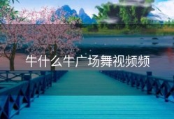 牛什么牛广场舞视频频