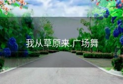 我从草原来.广场舞