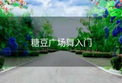 糖豆广场舞入门