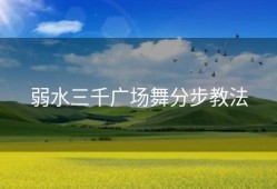 弱水三千广场舞分步教法