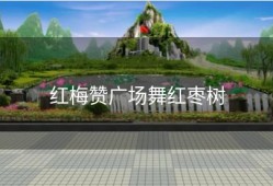 红梅赞广场舞红枣树