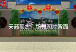 天籁蒙古广场舞图片背面