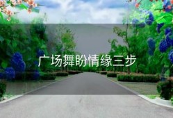 广场舞盼情缘三步