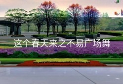 这个春天来之不易广场舞