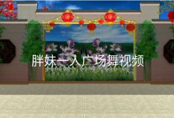 胖妹一人广场舞视频