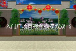入门广场舞视频蝴蝶双双飞