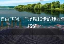 自由飞翔：广场舞16步的魅力与精髓