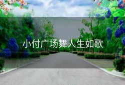 小付广场舞人生如歌