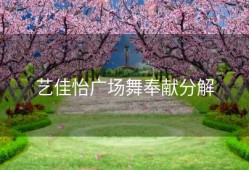 艺佳怡广场舞奉献分解