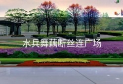 水兵舞藕断丝连广场