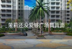 茉莉还没爱够广场舞背面