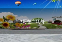 飞哥在广场舞