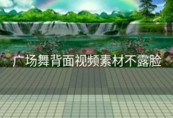 广场舞背面视频素材不露脸