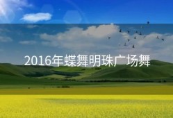 2016年蝶舞明珠广场舞