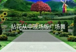 拈花从中现场版广场舞