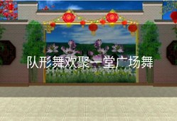 队形舞欢聚一堂广场舞