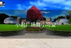 小君广场舞小可爱