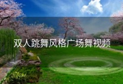 双人跳舞风格广场舞视频