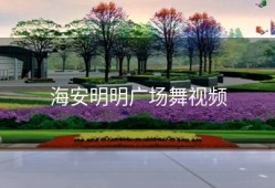 海安明明广场舞视频