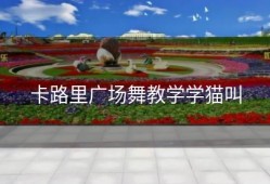 卡路里广场舞教学学猫叫