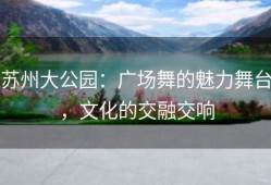 苏州大公园：广场舞的魅力舞台，文化的交融交响