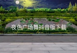 夜色广场舞抖音版下载