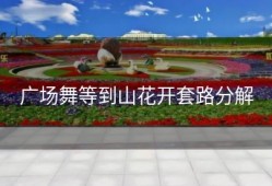 广场舞等到山花开套路分解