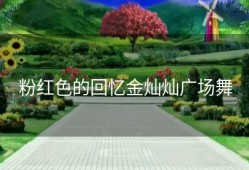 粉红色的回忆金灿灿广场舞