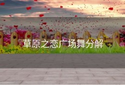 草原之恋广场舞分解