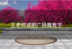王老师减肥广场舞教学