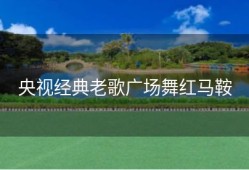 央视经典老歌广场舞红马鞍