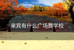 来宾有什么广场舞学校