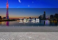 玉花广场舞