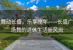 舞动长盛，乐享晚年——长盛广场舞的退休生活新风尚