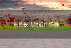 东善长巷附近广场舞