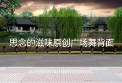 思念的滋味原创广场舞背面