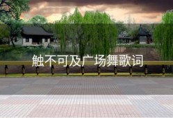触不可及广场舞歌词